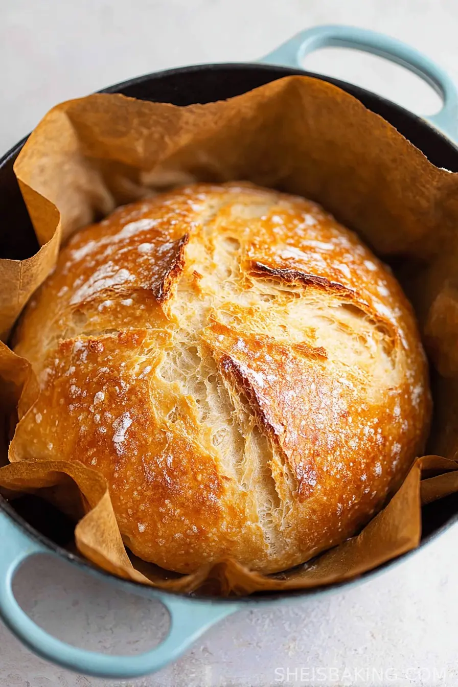 Easy Dutch Oven No Knead Bread